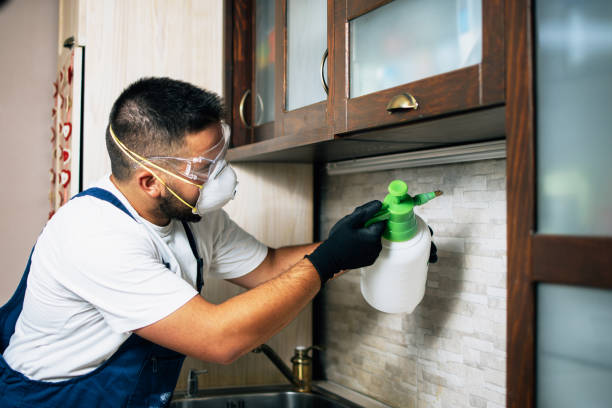 Best Mosquito Control Services  in Spring Lake, MI