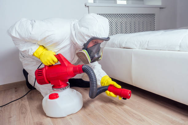 Best Wasp Removal Services  in Spring Lake, MI