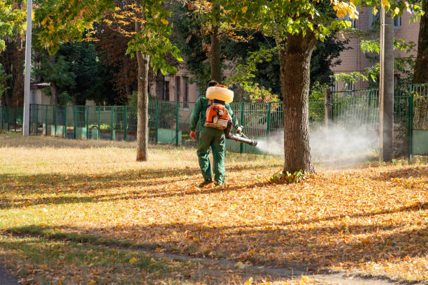 Best Pest Control Near Me  in Spring Lake, MI