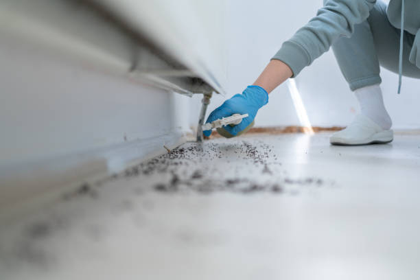Best Mosquito Control Services  in Spring Lake, MI